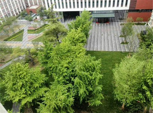 園冶杯專業獎:中航科研綜合樓項目景觀工程