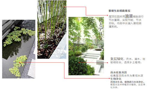 園冶杯專業獎:中航科研綜合樓項目景觀工程