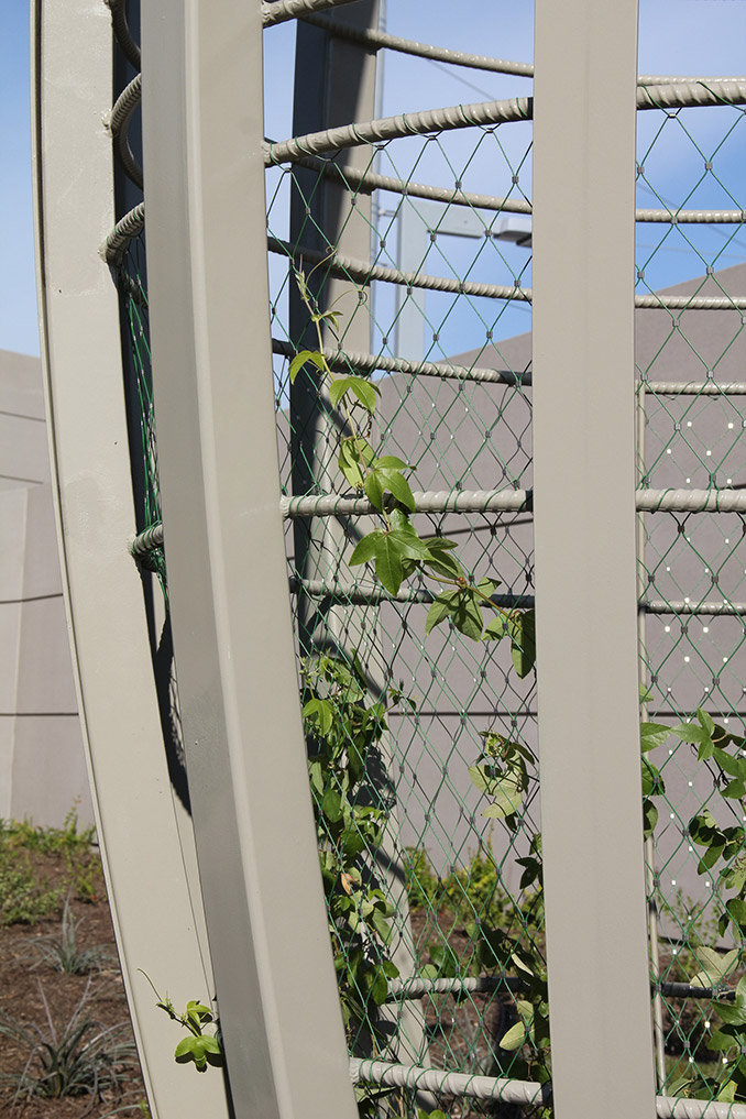 具有不同空間的美國艾西赫拉公園