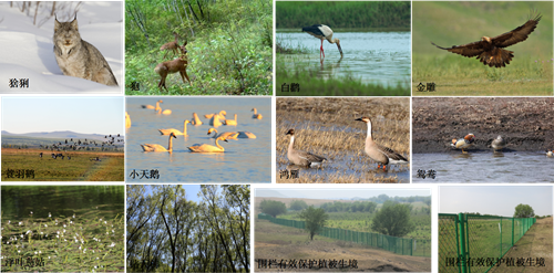 園冶杯專業(yè)獎:額爾古納濕地公園總體規(guī)劃