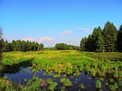 園冶杯專業(yè)獎:額爾古納濕地公園總體規(guī)劃