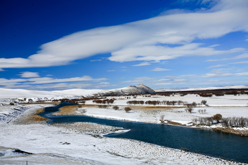 園冶杯專業(yè)獎:額爾古納濕地公園總體規(guī)劃