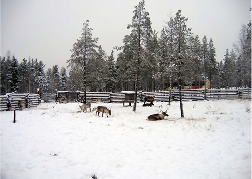 園冶杯專業(yè)獎:額爾古納濕地公園總體規(guī)劃