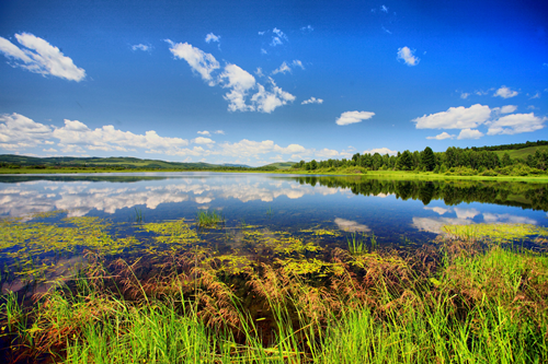 園冶杯專業(yè)獎:額爾古納濕地公園總體規(guī)劃