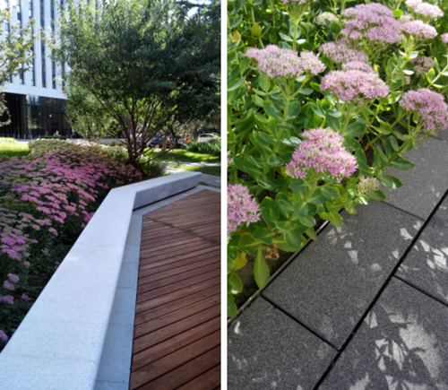 園冶杯專業獎:中航科研綜合樓項目景觀工程