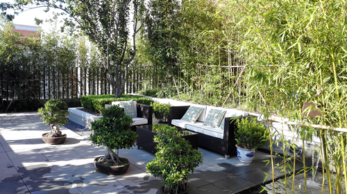 園冶杯專業獎:中航設計院新科研樓景觀工程