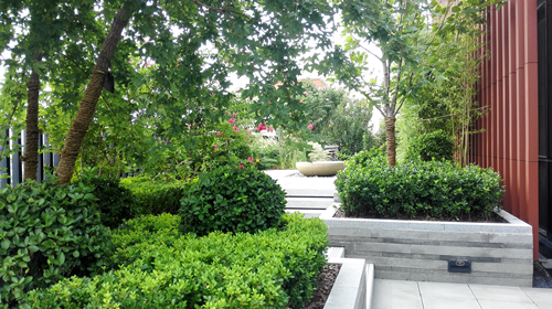 園冶杯專業獎:中航設計院新科研樓景觀工程