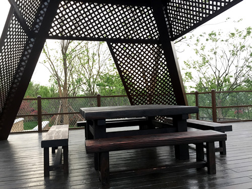 園冶杯專業獎：第九屆江蘇省園博會南通展園