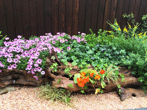 園冶杯專業獎：第九屆江蘇省園博會南通展園