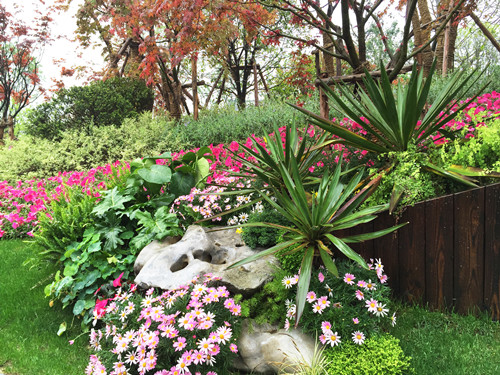 園冶杯專業獎：第九屆江蘇省園博會南通展園