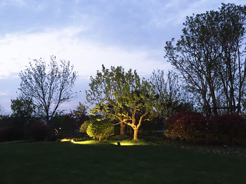 園冶杯專業獎：第九屆江蘇省園博會南通展園