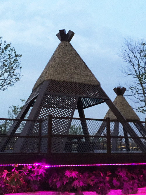 園冶杯專業獎：第九屆江蘇省園博會南通展園