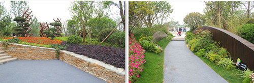 園冶杯專業獎:第九屆江蘇省園博會南通展園