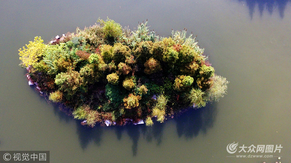 航拍濟南森林公園 色彩如油畫鮮亮
