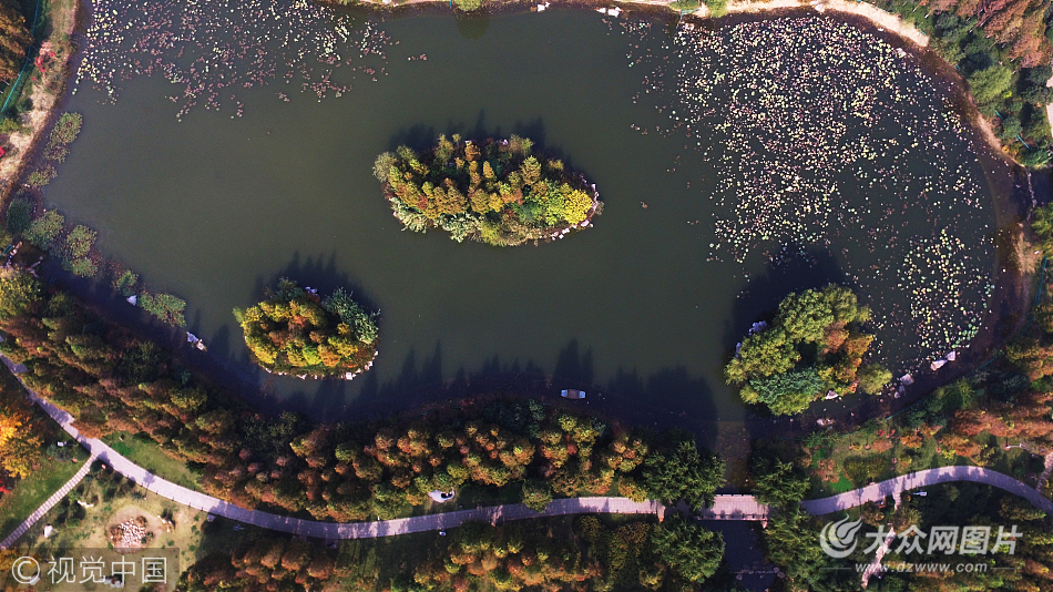 航拍濟南森林公園 色彩如油畫鮮亮