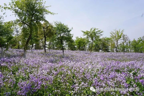 國土部考察濟南園林院臥牛山地質公園項目
