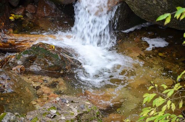 山西龐泉溝森林保護公園秋意濃濃