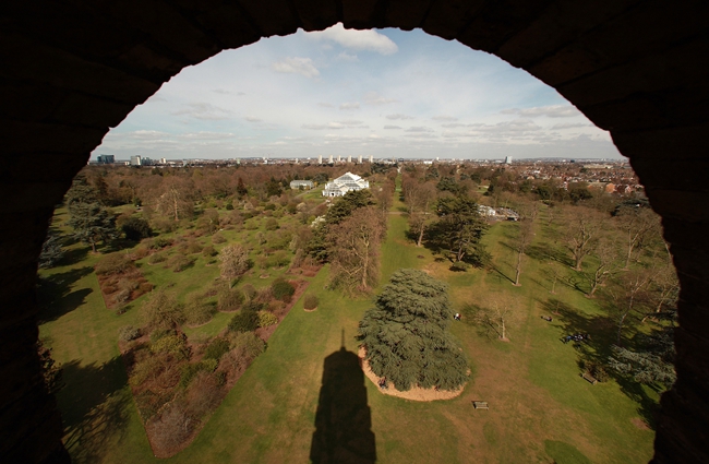 為搶救世界瀕危植物物種建起千年種子圣殿