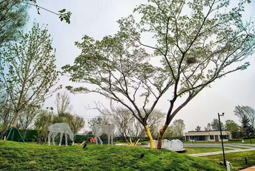 園冶杯專業(yè)獎：濟南萬科龍湖城市之光施工