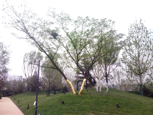 園冶杯專業(yè)獎：濟南萬科龍湖城市之光施工