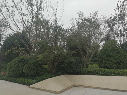 園冶杯專業(yè)獎：濟南萬科龍湖城市之光施工