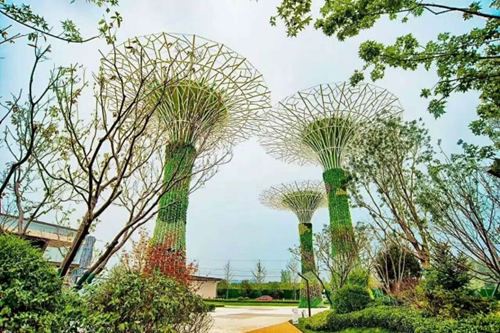 園冶杯專業(yè)獎：濟南萬科龍湖城市之光施工