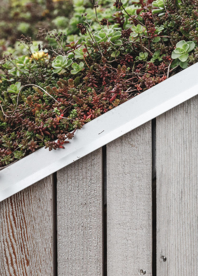 丹麥這座公園,有趣結(jié)合了人造設(shè)施與自然景觀