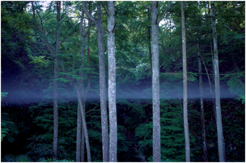 瑤琳國家森林公園,江南印象