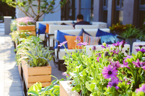 園冶杯專業獎：鴻坤智谷景觀設計