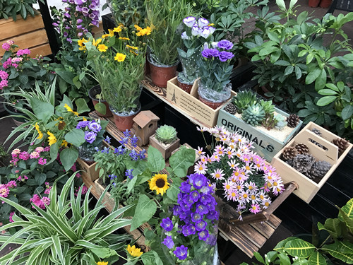 園冶杯專業獎：鴻坤智谷景觀設計