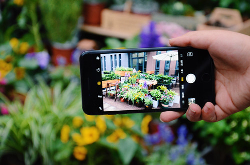 園冶杯專業獎：鴻坤智谷景觀設計