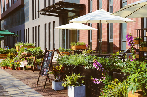 園冶杯專業獎：鴻坤智谷景觀設計