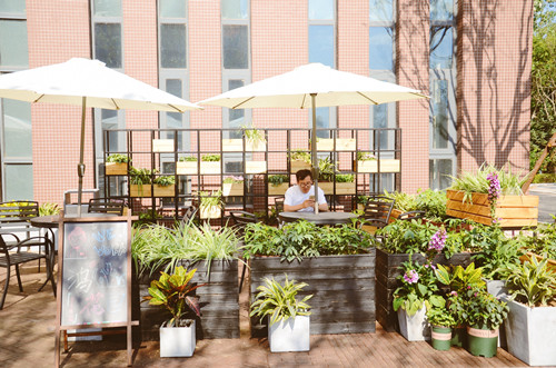 園冶杯專業獎：鴻坤智谷景觀設計