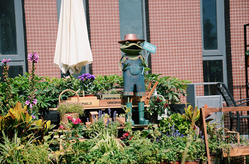 園冶杯專業獎:鴻坤智谷景觀設計