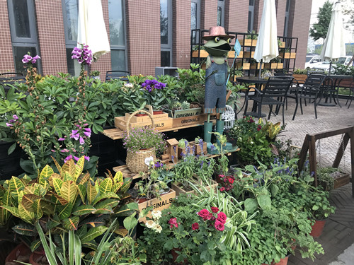 園冶杯專業獎:鴻坤智谷景觀設計