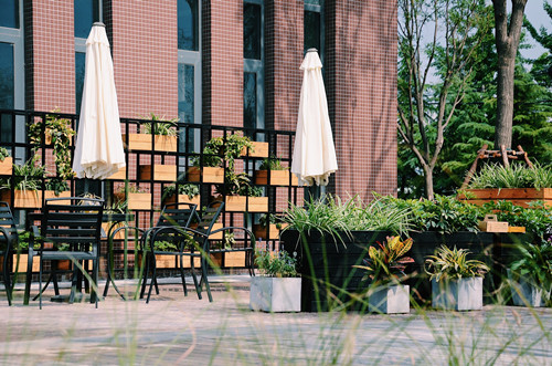 園冶杯專業獎:鴻坤智谷景觀設計