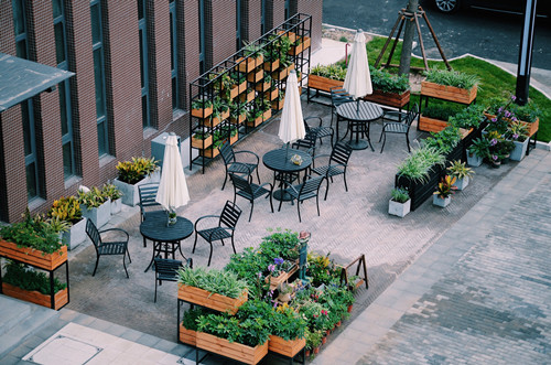 園冶杯專業獎:鴻坤智谷景觀設計