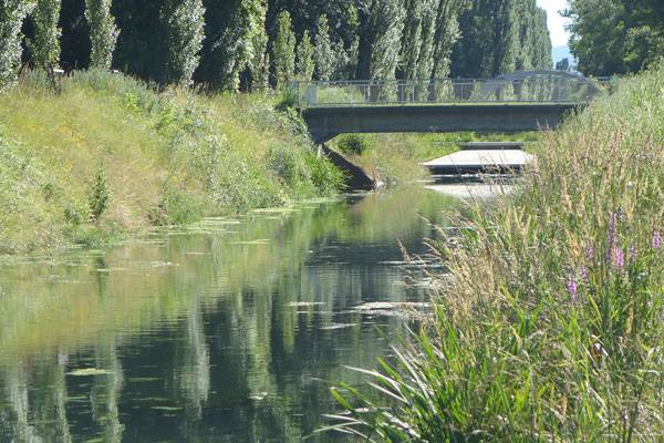 讓被廢棄的河流煥發(fā)新生的景觀(guān)設(shè)計(jì)方案