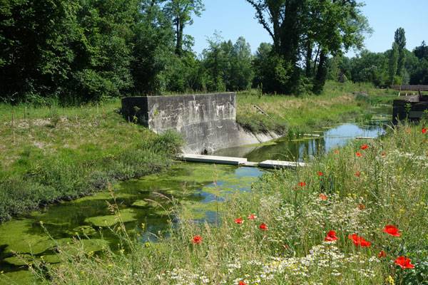 讓被廢棄的河流煥發(fā)新生的景觀(guān)設(shè)計(jì)方案