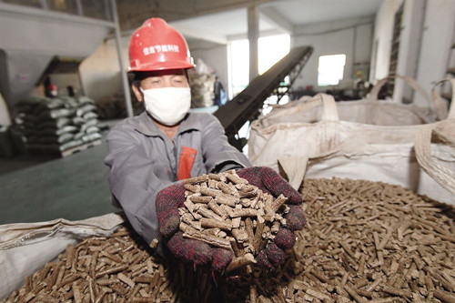 江蘇吳江：綠化垃圾制成鍋爐燃料出售