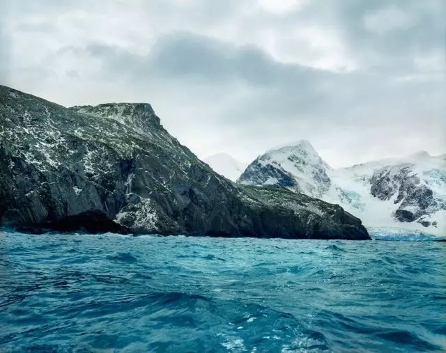 可能植物活得久了都會變得奇怪的樣子