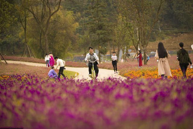 航拍貴州畢節(jié)金海湖濕地公園