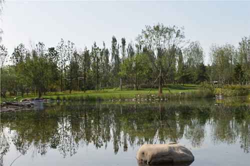 園冶杯專業獎：固安中央公園景觀設計