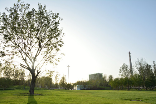 園冶杯專業獎：固安中央公園景觀設計