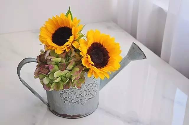 秋日花園里的小情調