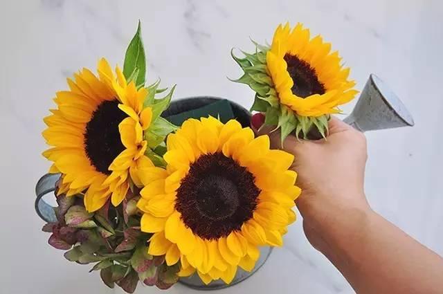 秋日花園里的小情調