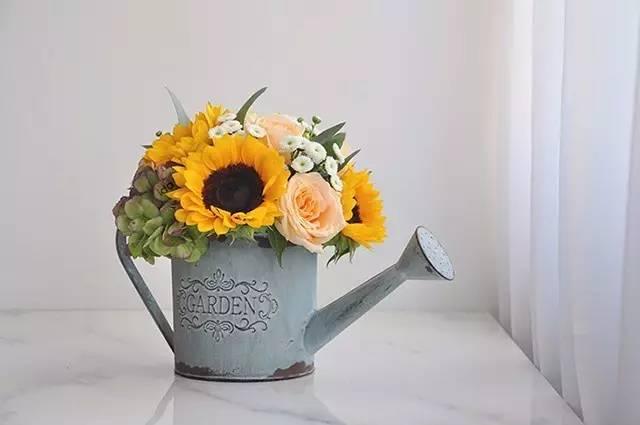 秋日花園里的小情調