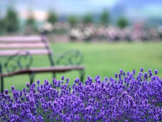 昆明隔壁的這個森林公園