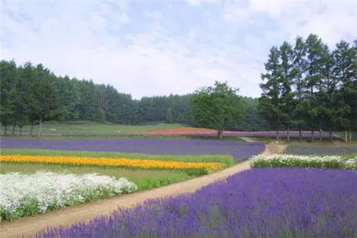 昆明隔壁的這個森林公園