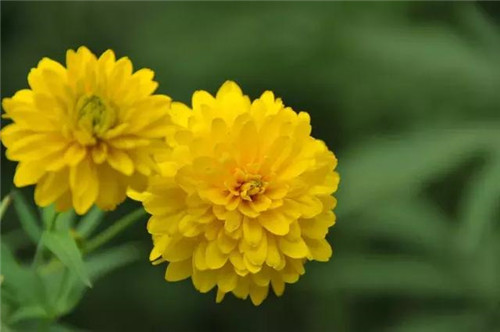 昆明隔壁的這個森林公園